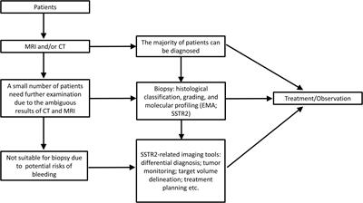 Clinical Significance of Somatostatin Receptor (SSTR) 2 in Meningioma